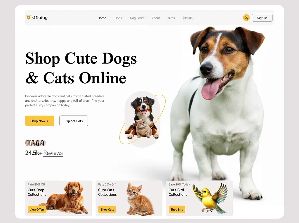 affortable website developer